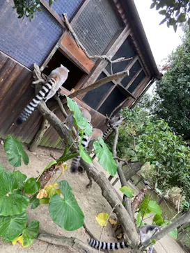 神戸どうぶつ王国に投稿された画像（2021/10/11）