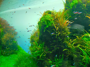 すみだ水族館に投稿された画像（2021/10/11）