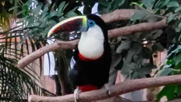 神戸どうぶつ王国に投稿された画像（2021/10/11）