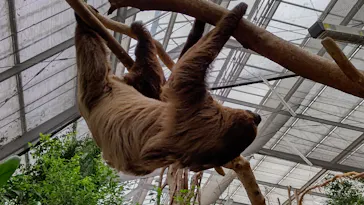 神戸どうぶつ王国に投稿された画像（2021/10/11）