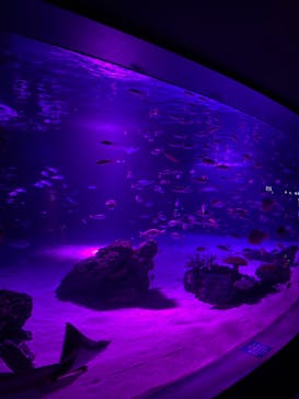 サンシャイン水族館に投稿された画像（2021/10/11）