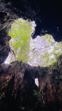 Yamakara屋久島に投稿された画像（2021/10/11）