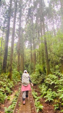 Yamakara屋久島に投稿された画像（2021/10/11）