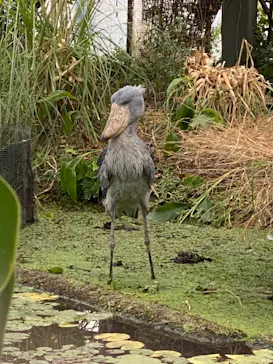 神戸どうぶつ王国に投稿された画像（2021/10/11）