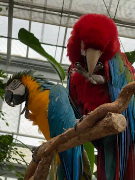 神戸どうぶつ王国に投稿された画像（2021/10/11）