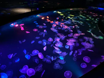 すみだ水族館に投稿された画像（2021/10/11）