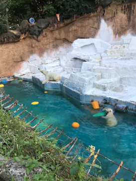 天王寺動物園に投稿された画像（2021/10/11）