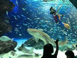 サンシャイン水族館に投稿された画像（2021/10/11）