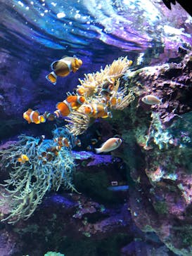 サンシャイン水族館に投稿された画像（2021/10/11）