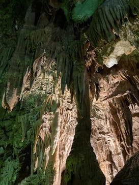 あぶくま洞に投稿された画像（2021/10/11）