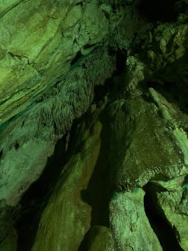 あぶくま洞に投稿された画像（2021/10/11）