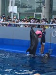 大分マリーンパレス水族館 「うみたまご」に投稿された画像（2021/10/11）