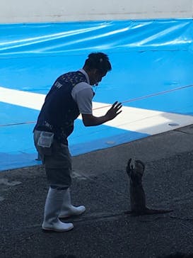 大分マリーンパレス水族館 「うみたまご」に投稿された画像（2021/10/11）