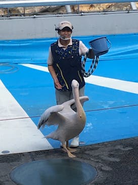 大分マリーンパレス水族館 「うみたまご」に投稿された画像（2021/10/11）