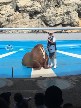 大分マリーンパレス水族館 「うみたまご」に投稿された画像（2021/10/11）