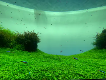 すみだ水族館に投稿された画像（2021/10/11）