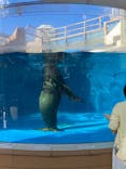 サンシャイン水族館に投稿された画像（2021/10/11）