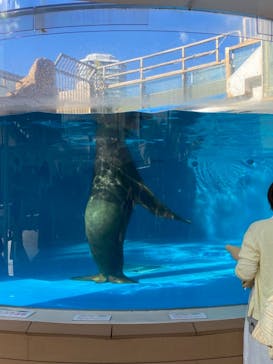 サンシャイン水族館に投稿された画像（2021/10/11）