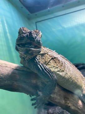 サンシャイン水族館に投稿された画像（2021/10/11）