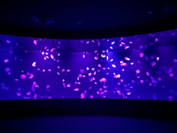 サンシャイン水族館に投稿された画像（2021/10/11）