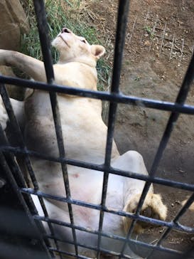 沖縄こどもの国に投稿された画像（2021/10/11）