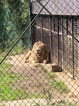 那須サファリパークに投稿された画像（2021/10/11）