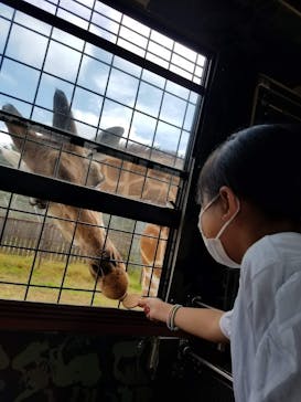 那須サファリパークに投稿された画像（2021/10/12）