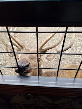 那須サファリパークに投稿された画像（2021/10/12）