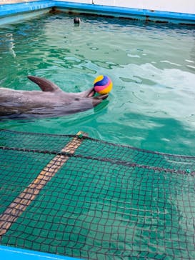 ゼロ距離水族館 伊勢シーパラダイスに投稿された画像（2021/10/12）