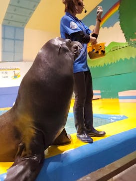 ゼロ距離水族館 伊勢シーパラダイスに投稿された画像（2021/10/12）