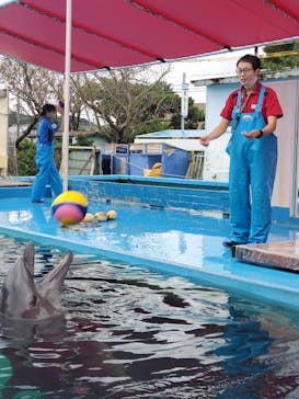 ゼロ距離水族館 伊勢シーパラダイスに投稿された画像（2021/10/12）