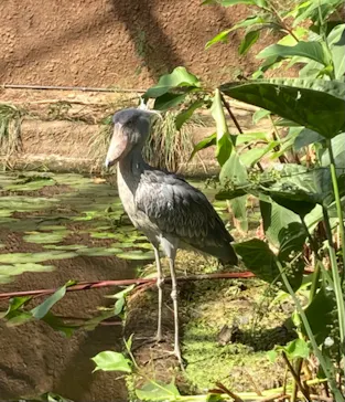 神戸どうぶつ王国に投稿された画像（2021/10/12）