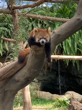 神戸どうぶつ王国に投稿された画像（2021/10/12）