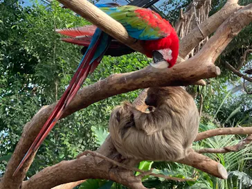 神戸どうぶつ王国に投稿された画像（2021/10/12）