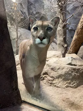 神戸どうぶつ王国に投稿された画像（2021/10/12）