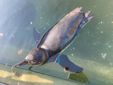 神戸どうぶつ王国に投稿された画像（2021/10/12）