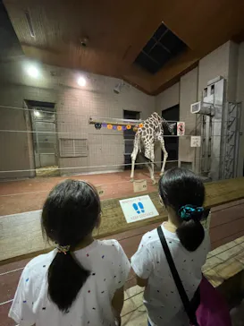 天王寺動物園に投稿された画像（2021/3/13）