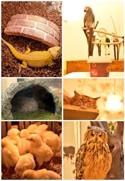 Moff アニマル カフェ イーアス 高尾店に投稿された画像（2021/10/12）