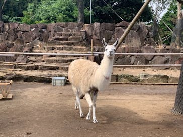 伊豆シャボテン動物公園に投稿された画像（2021/10/12）