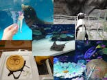サンシャイン水族館に投稿された画像（2021/10/12）