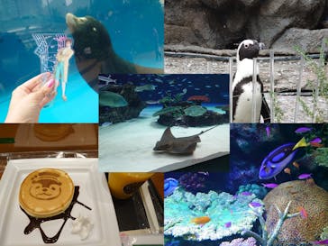 サンシャイン水族館に投稿された画像（2021/10/12）