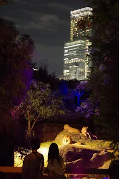 天王寺動物園に投稿された画像（2021/10/12）