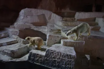 天王寺動物園に投稿された画像（2021/10/12）