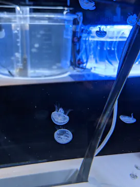 すみだ水族館に投稿された画像（2021/10/12）