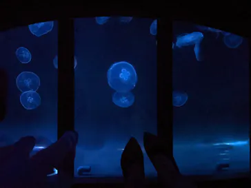 すみだ水族館に投稿された画像（2021/10/12）