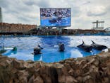 名古屋港水族館に投稿された画像（2021/10/12）