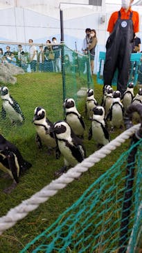 名古屋港水族館に投稿された画像（2021/10/12）