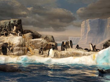 名古屋港水族館に投稿された画像（2021/10/12）