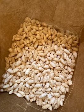 西武園ゆうえんちに投稿された画像（2021/10/12）