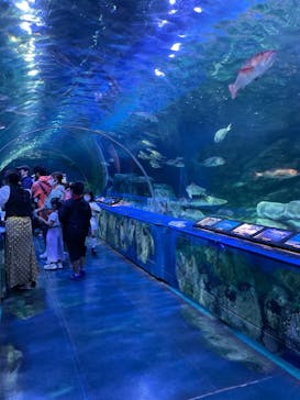 しながわ水族館に投稿された画像（2021/10/12）